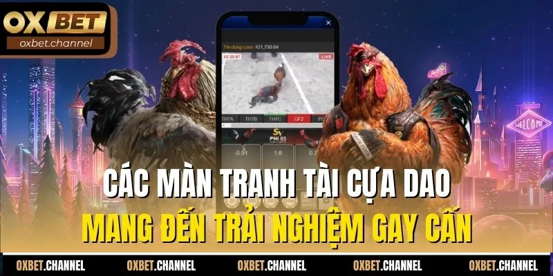 Các màn tranh tài cựa dao mang đến trải nghiệm gay cấn
